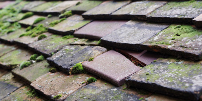 Hoggeston roof repair costs